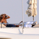 Illustration for article titled Peek Inside Beyoncé Jay-Zs Awesome Luxury Yacht
